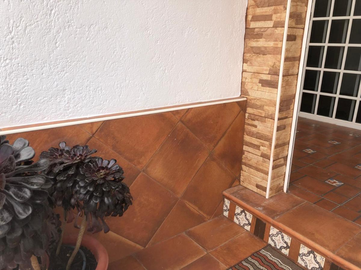 Teide Apartman Icod de los Vinos Kültér fotó